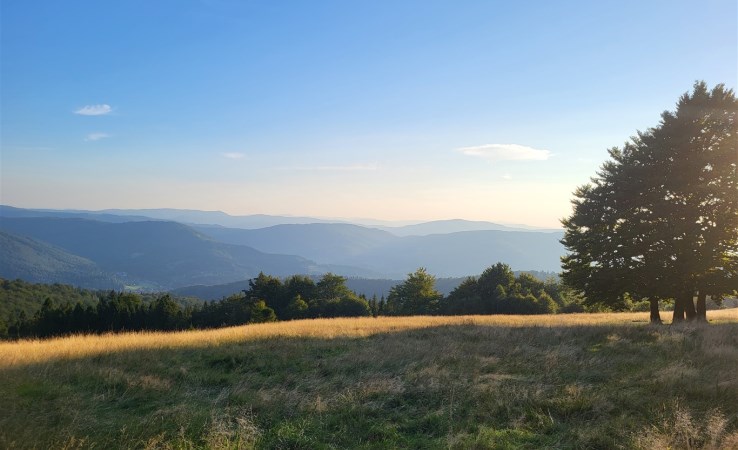 obiekt na sprzedaż - Adamów